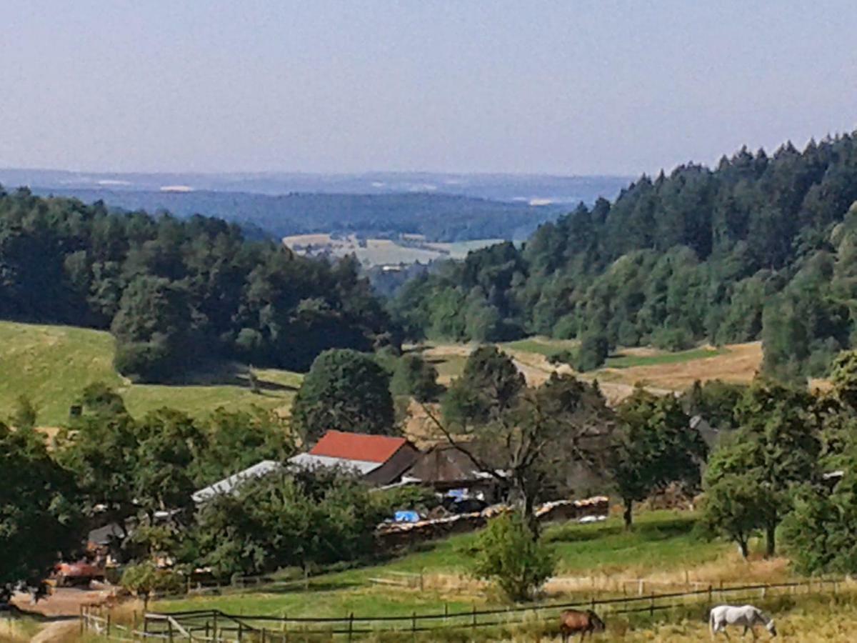 Fewo Darsberg Neckarsteinach Ngoại thất bức ảnh
