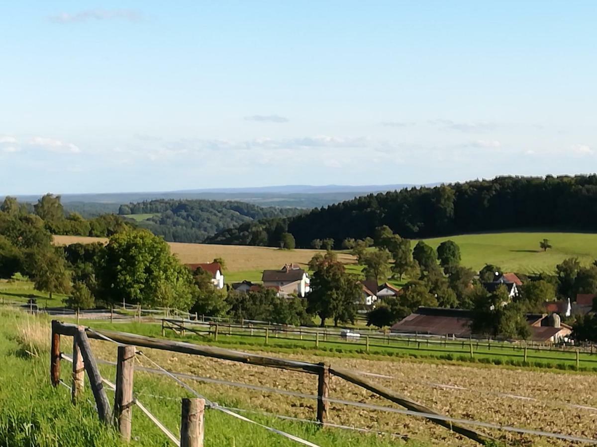 Fewo Darsberg Neckarsteinach Ngoại thất bức ảnh