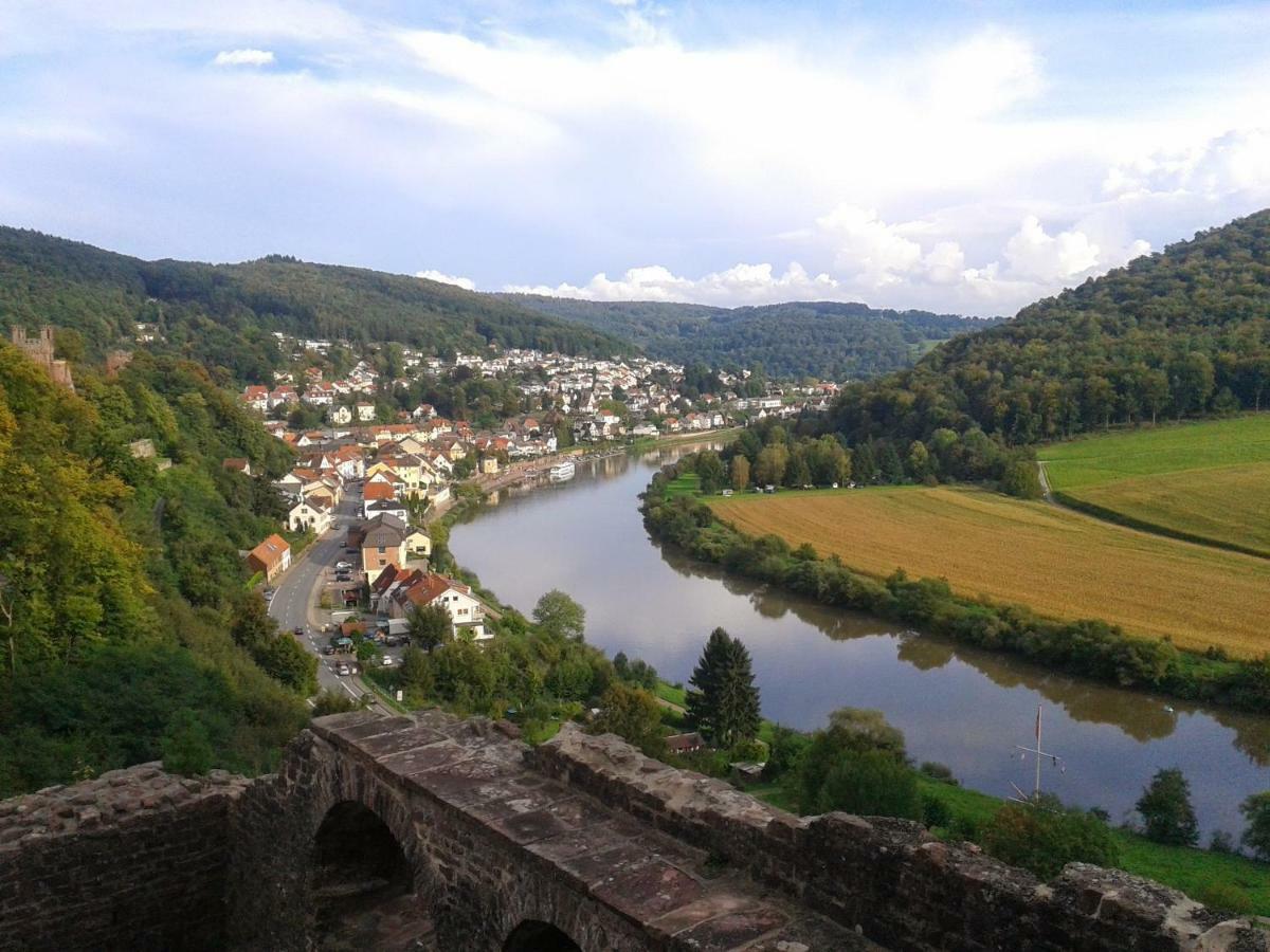 Fewo Darsberg Neckarsteinach Ngoại thất bức ảnh